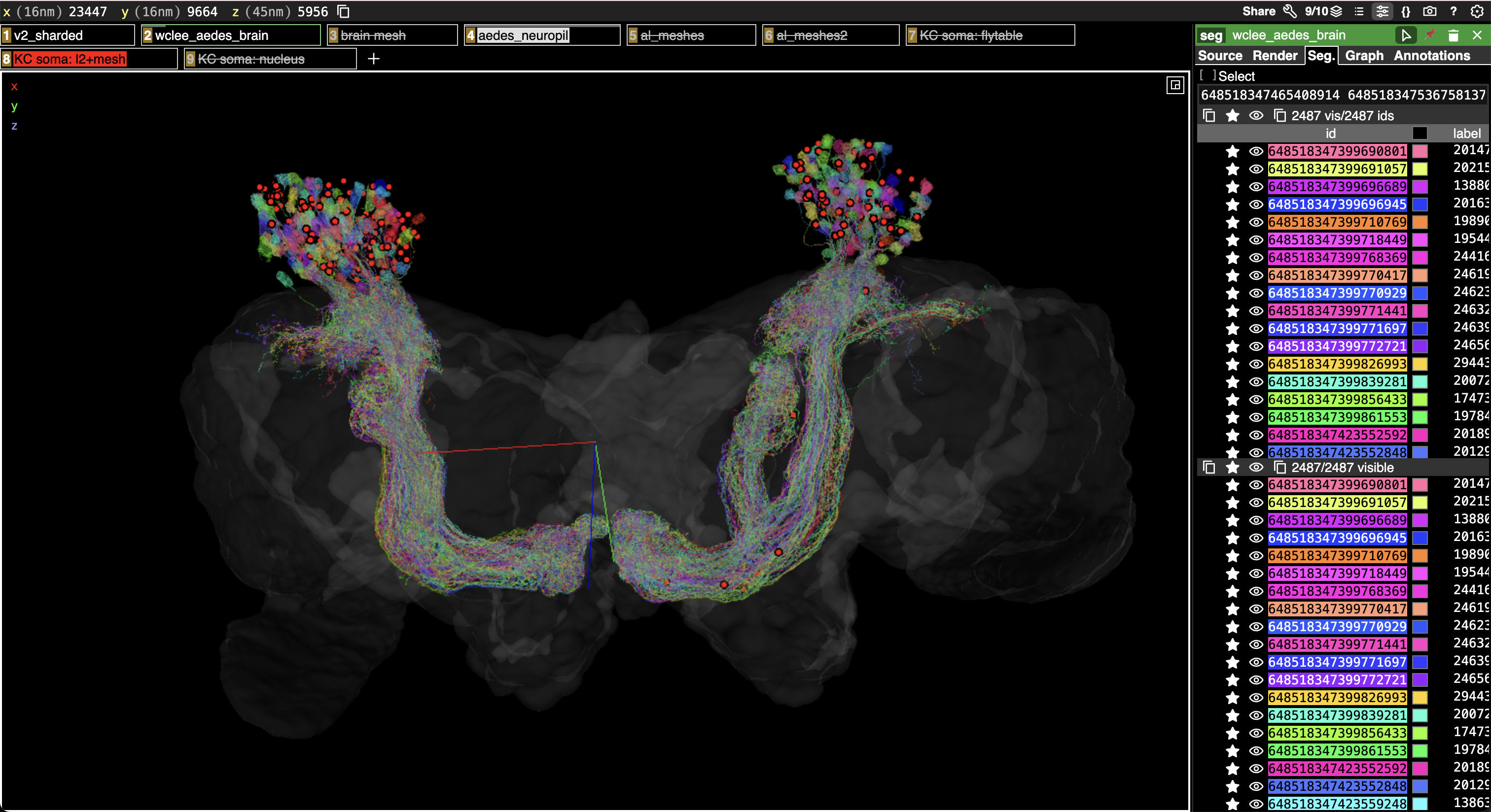 KC soma annotation layers in Spelunker